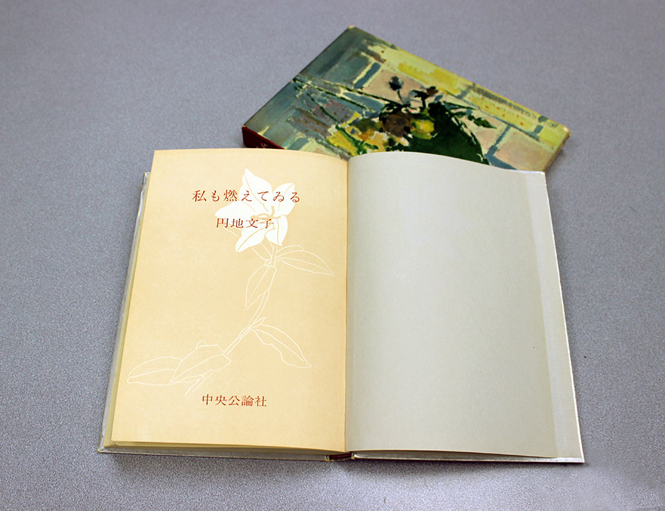 A 1959 novel modeled after Ohkawa's research at the Miyamoto Laboratory